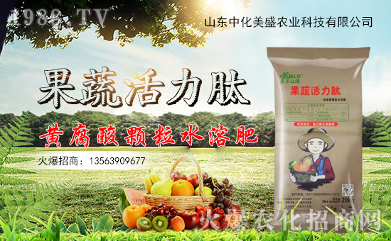 中化美盛入駐火爆農(nóng)化網(wǎng),開(kāi)啟網(wǎng)絡(luò)招商新渠道!