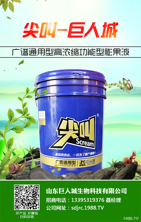 萵苣種植在我國(guó)有春茬與秋茬之分,分別使用不同的品種。秋茬品種在較高的溫度條件下,也能形成蓮座葉,然后長(zhǎng)出粗大的莖。那么,萵苣的品種有哪些?怎么種植才好呢?