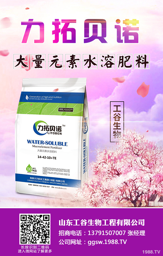 秋冬季小油菜如何種植?秋冬季小油菜種植技術及田間管理方法!