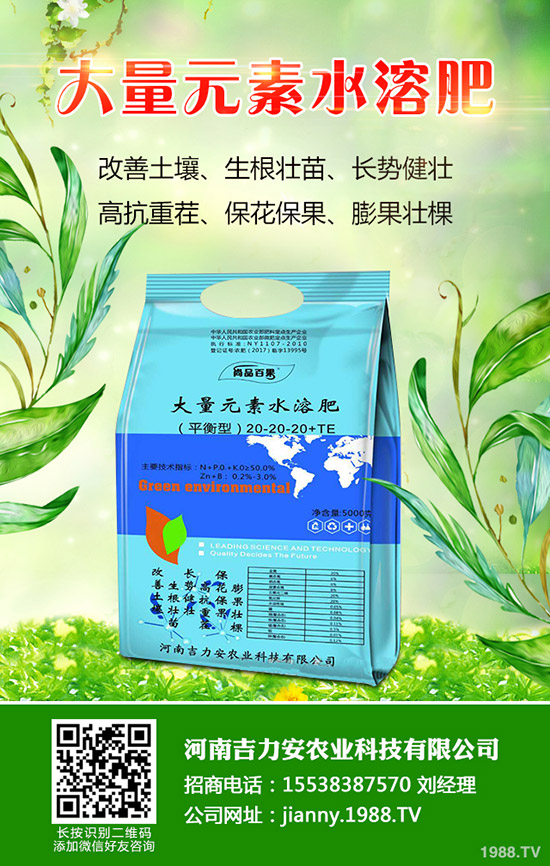 天麻什么時候種,天麻種植管理技巧