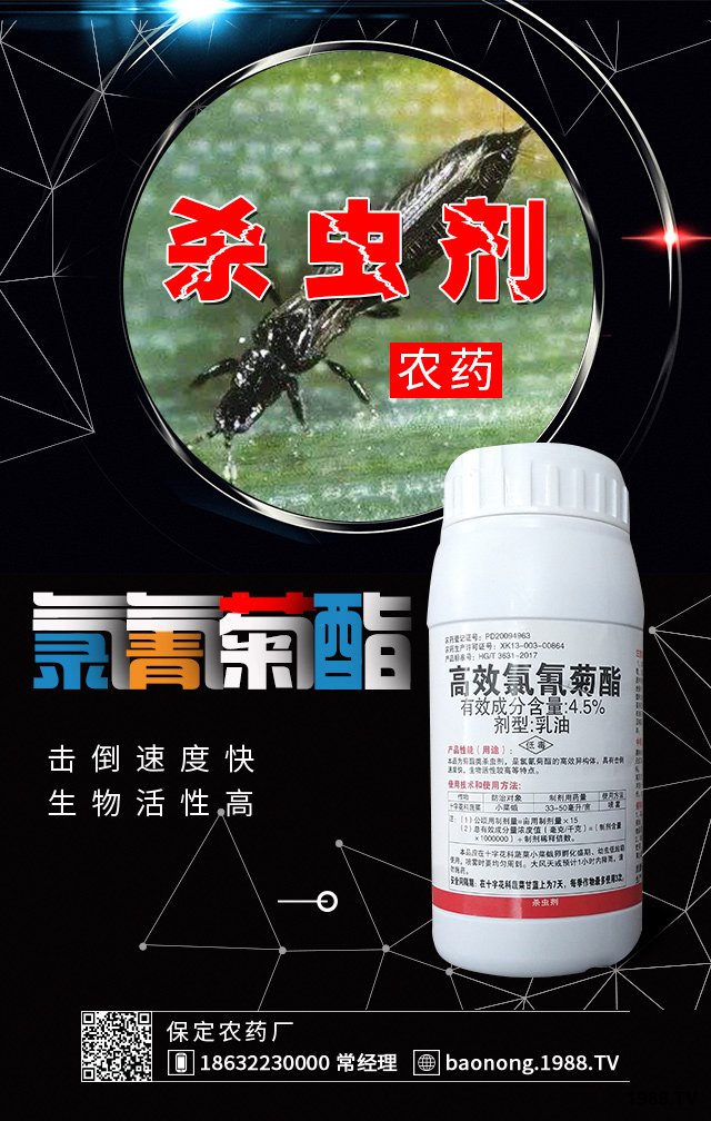 冬棚黃瓜薊馬防治要點(diǎn)有哪些?黃瓜薊馬防治技巧