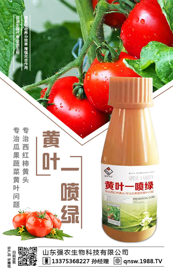 秋蘿卜播種時間,秋蘿卜種植需要注意哪些事項(xiàng)?