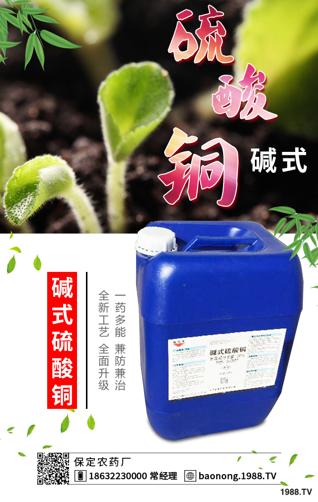 如何巧治蘇鐵葉斑。刻K鐵葉斑病防治技巧
