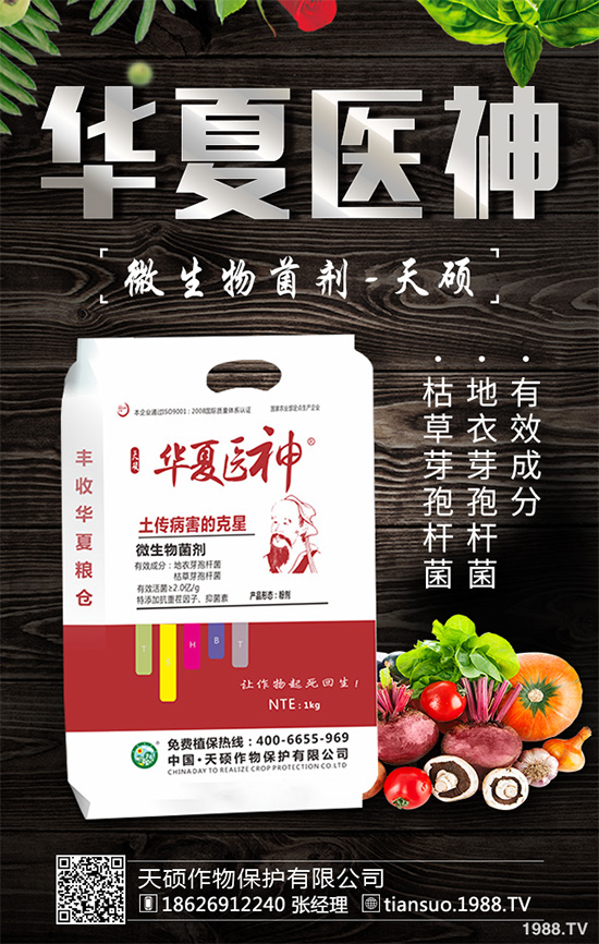 萵苣灰霉病有哪些危害癥狀?是如何引起的?快來(lái)看看吧!