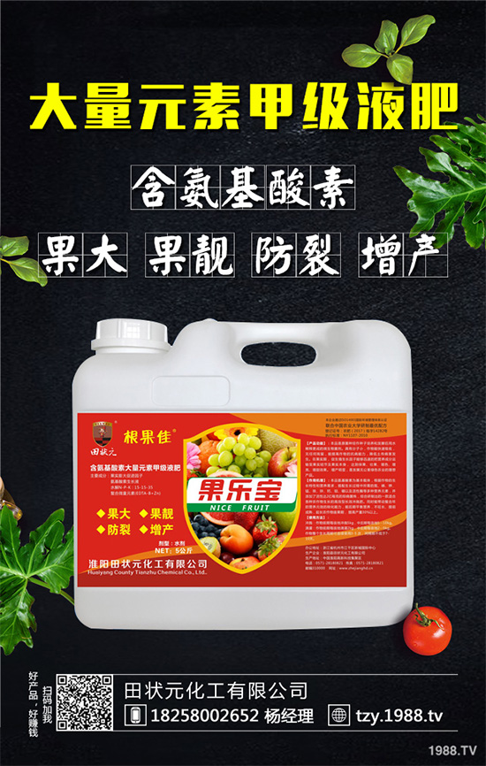 萵苣灰霉病有哪些危害癥狀?是如何引起的?快來(lái)看看吧!