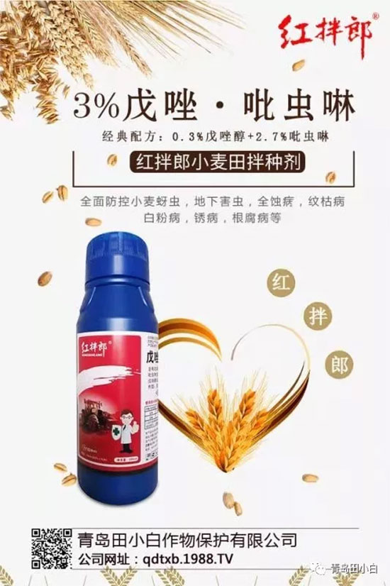 小麥拌種劑選哪個好?小麥拌種劑選用技巧