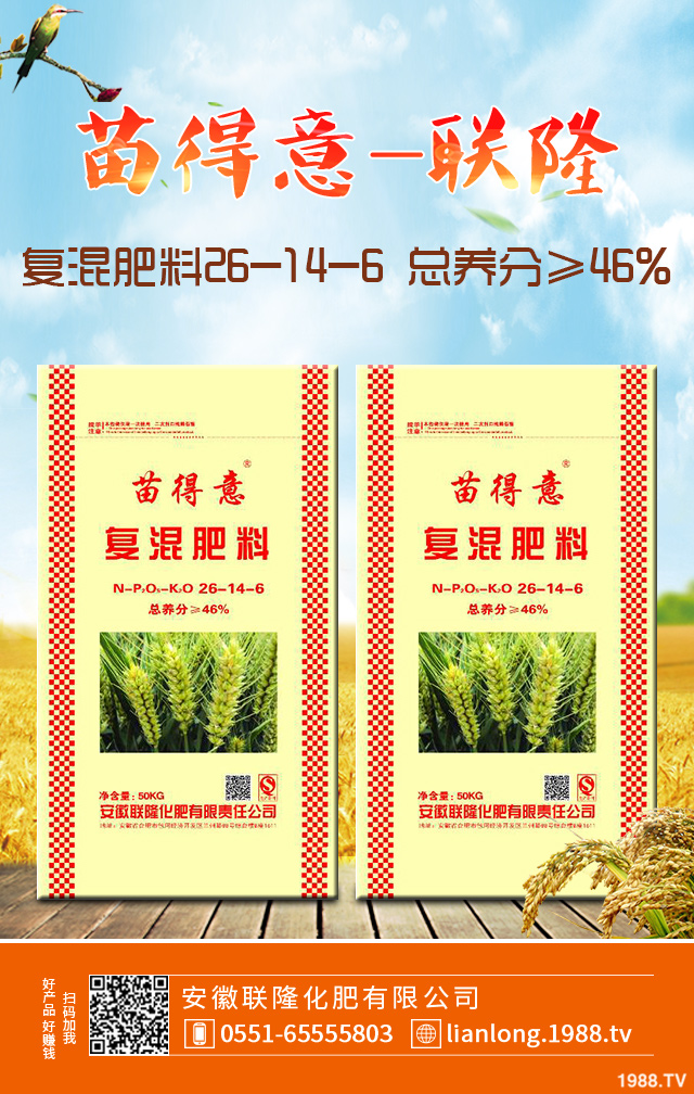 小麥常見弱苗如何防治?小麥弱苗防治技巧