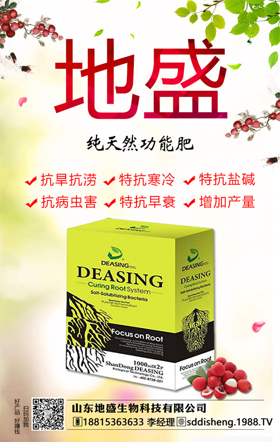油茶樹的種植管理方法,油茶樹的經(jīng)濟價值如何?