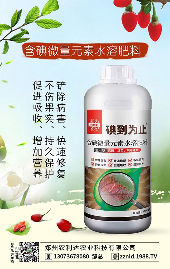 茭白高產(chǎn)方案,認(rèn)準(zhǔn)茭白的科學(xué)施肥方法