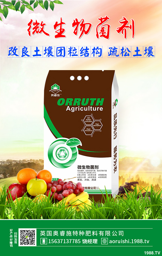 雪菜種植講究技巧,你會嗎?雪菜優(yōu)質(zhì)豐產(chǎn)種植技術(shù)