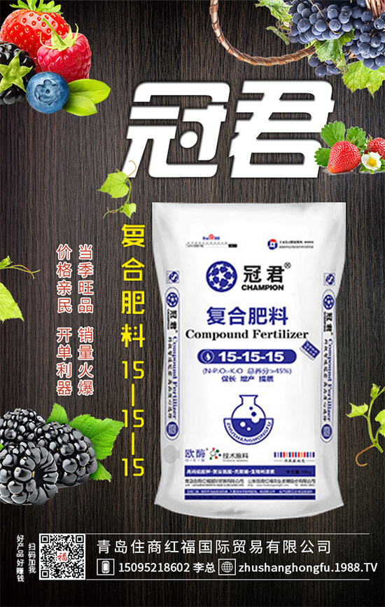 紫甘藍怎么管理?冬春茬紫甘藍種植管理要點!