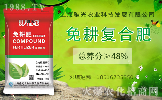 【上海雅光】祝大家新年快樂,財源滾滾,吉祥高照,鴻運當(dāng)頭!