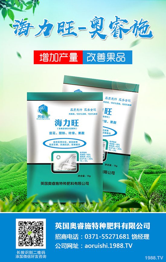 臍橙種植對環(huán)境有哪些要求?臍橙種植要點有哪些?