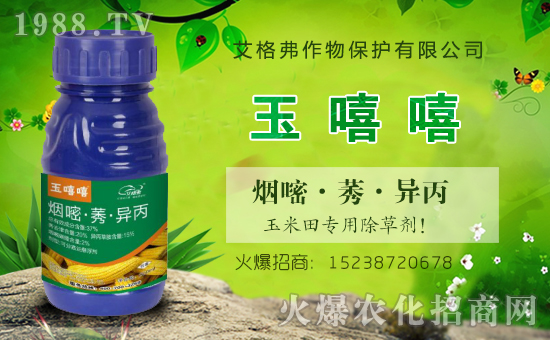 【艾格弗作物】祝新老朋友新春快樂(lè),生意興隆,萬(wàn)事如意,闔家安康!