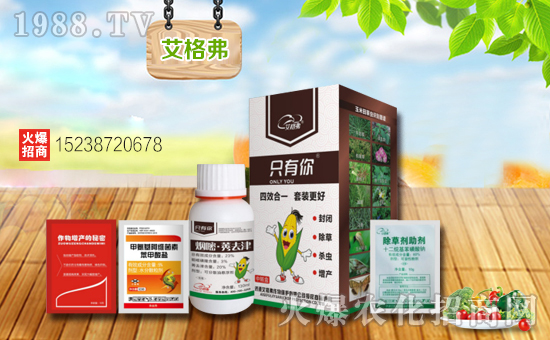【艾格弗作物】祝新老朋友新春快樂(lè),生意興隆,萬(wàn)事如意,闔家安康!