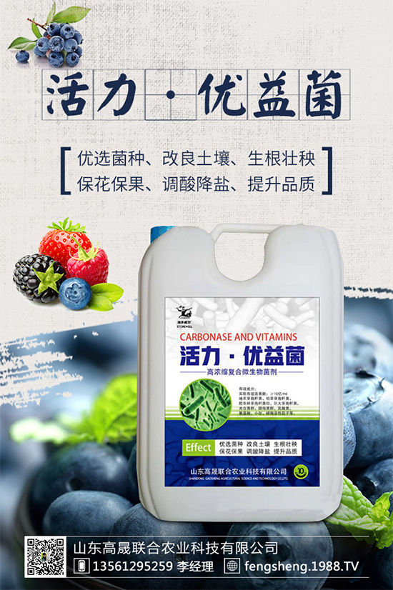 【高晟聯(lián)合】恭祝新老朋友新年快樂,鼠年吉祥!2020財源滾滾!