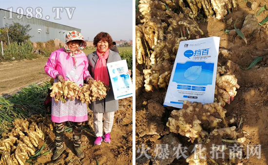 【邦爾泰生物】祝大家2020年鼠年快樂,笑口常開,財(cái)源滾滾!
