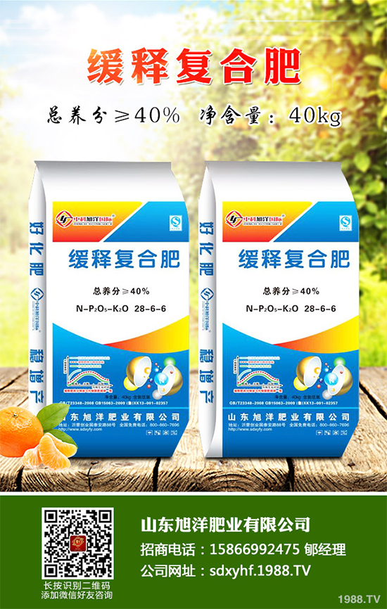 芹菜軟腐病來(lái)襲,到底該如何防治?芹菜軟腐病的危害與防治
