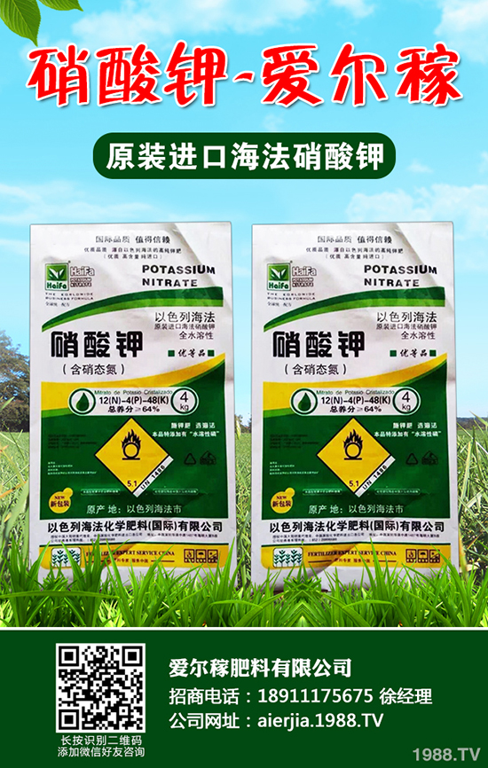 常吃蘆筍對人體有哪些好處?蘆筍的功效作用及營養(yǎng)價值