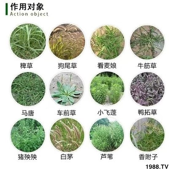 【北京鼎瑞】恭祝新老客戶鼠年大吉,新春快樂(lè),財(cái)源滾滾!