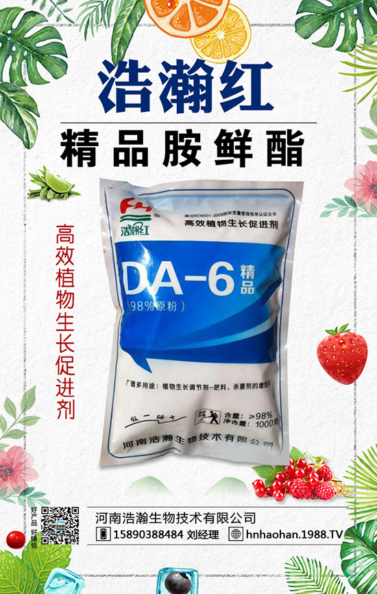 如何種植薰衣草?薰衣草的種植方法與注意事項!