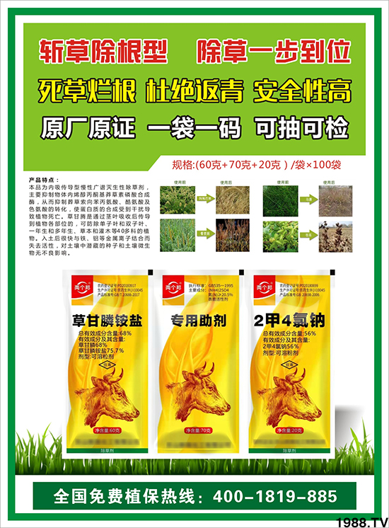 【北京鼎瑞】恭祝新老客戶鼠年大吉,新春快樂(lè),財(cái)源滾滾!