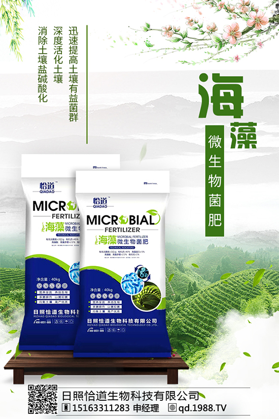 松茸有哪些營(yíng)養(yǎng)價(jià)值?吃松茸有什么好處?