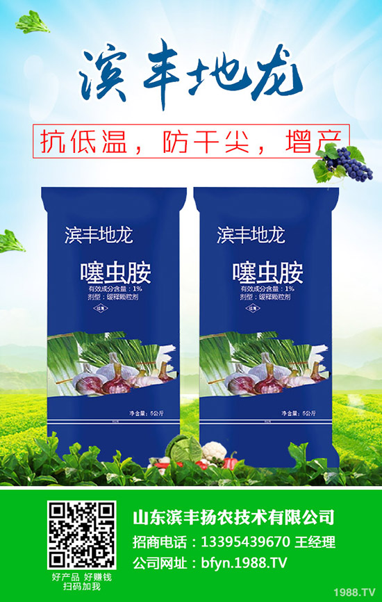 2020大棚草莓價(jià)格多少錢一斤?草莓價(jià)格爆低原因有哪些?