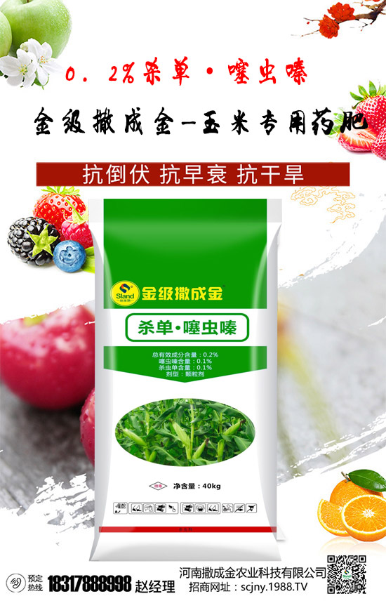 【撒成金】祝全國朋友,新年快樂,鼠年大吉,身體健康,財(cái)源廣進(jìn)