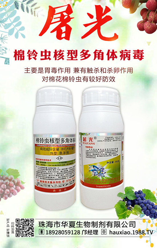 【華夏生物】恭祝新老朋友新年快樂,鼠年吉祥!萬事如意平安年!