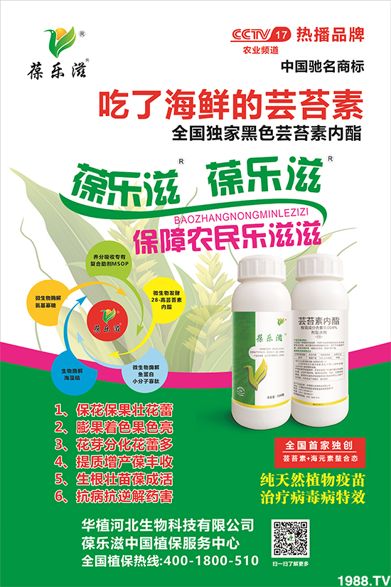 【華植河北】祝大家新年新氣象,生意步步高!鼠年行大運!