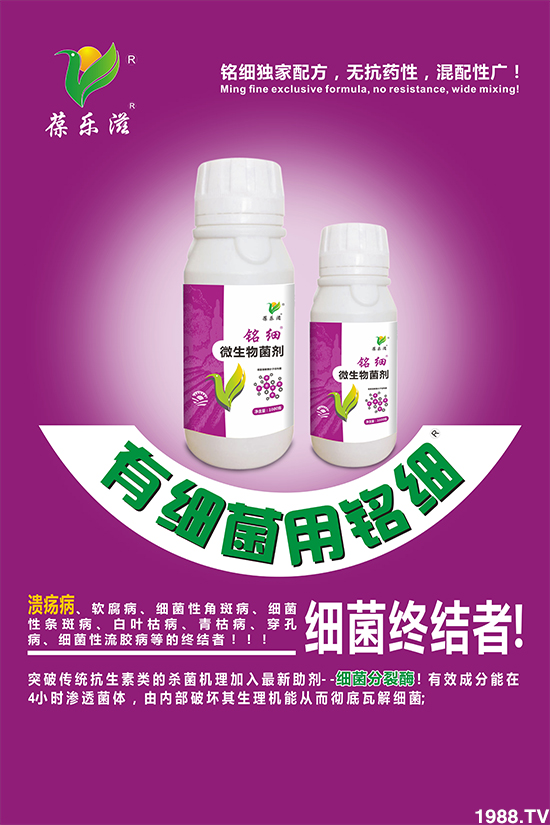 【華植河北】祝大家新年新氣象,生意步步高!鼠年行大運!