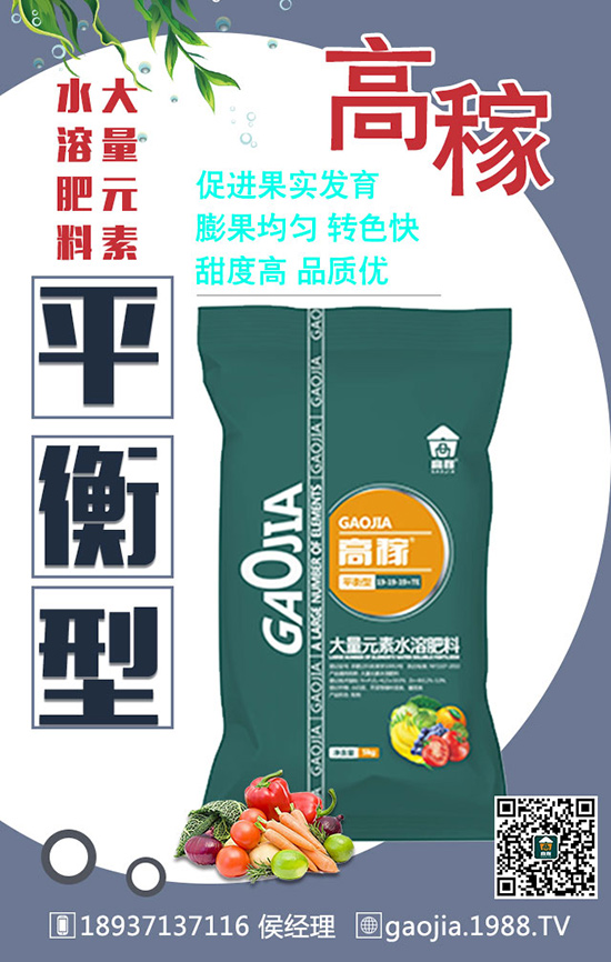 冬季拔高大蒜產(chǎn)量,離不開大蒜的合理管理!