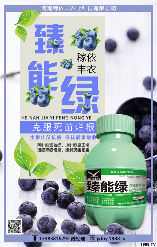 冬季大棚蔬菜如何應對天氣變化,冬季大棚蔬菜管理要點!