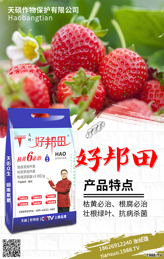 冬季南瓜該如何種植?反季南瓜大棚種植技術(shù)