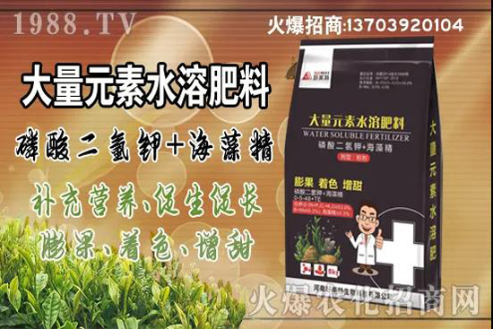 蔬菜旺長有哪些危害?秋茬蔬菜控旺三要點(diǎn)!