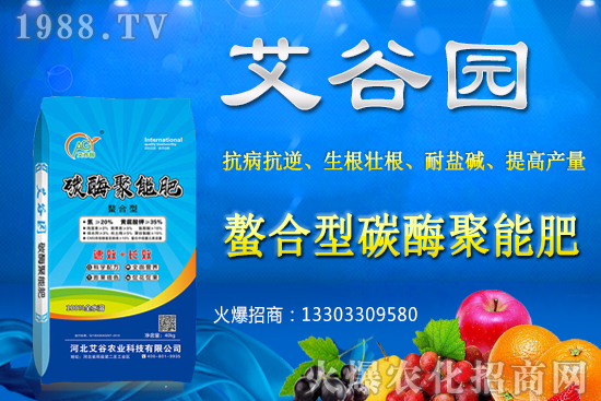 大豆價格抬頭還會繼續(xù)漲嗎?2020年秋季大豆價格預(yù)測