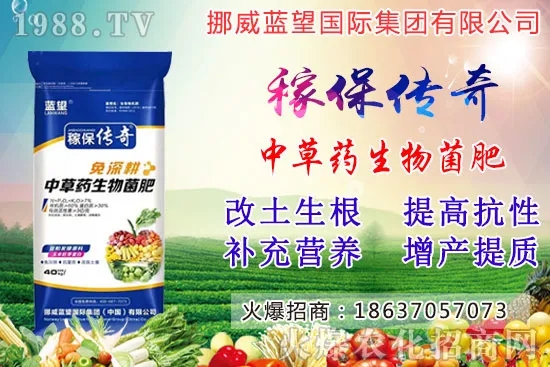 越冬菠菜施肥要注意什么問題?越冬菠菜施肥四大原則!