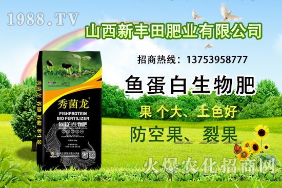 2021年小麥保護(hù)價格是多少?附2021年小麥價格預(yù)測!