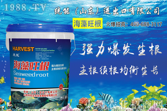 小麥種植時(shí)間如何確定?2020年小麥種植注意哪些問(wèn)題?
