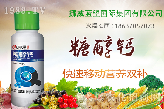 草莓缺鈣有哪些原因呢?草莓缺鈣癥狀及補救措施