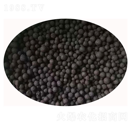 菌體蛋白復(fù)合微生物肥料顆粒-黑珍珠-佰潤肥業(yè)