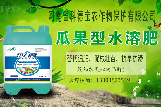 江西贛南臍橙什么時(shí)候成熟上市?如何挑選贛南臍橙?