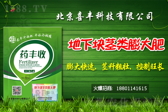 小麥價格還能繼續(xù)上漲嗎?2021春節(jié)前小麥價格預測!