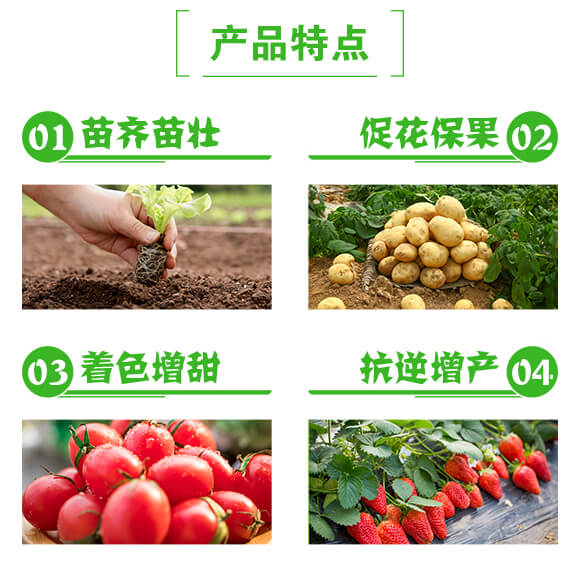 通用加強型植物營養(yǎng)生長促進液-盛倍克-新盛禾豐_03