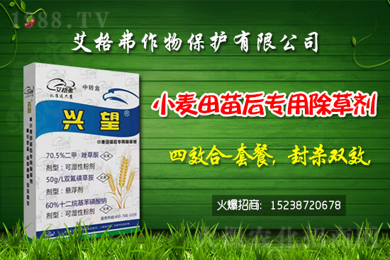 氯吡嘧磺隆除草劑價(jià)格走勢(shì)(12.22)