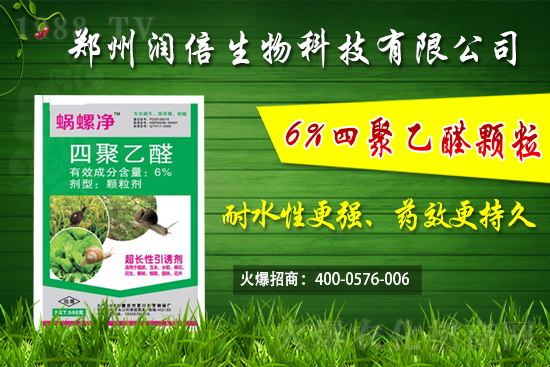 四聚乙醛產品特點及作用機理有哪些?四聚乙醛防治蔬菜蝸牛怎樣使用?