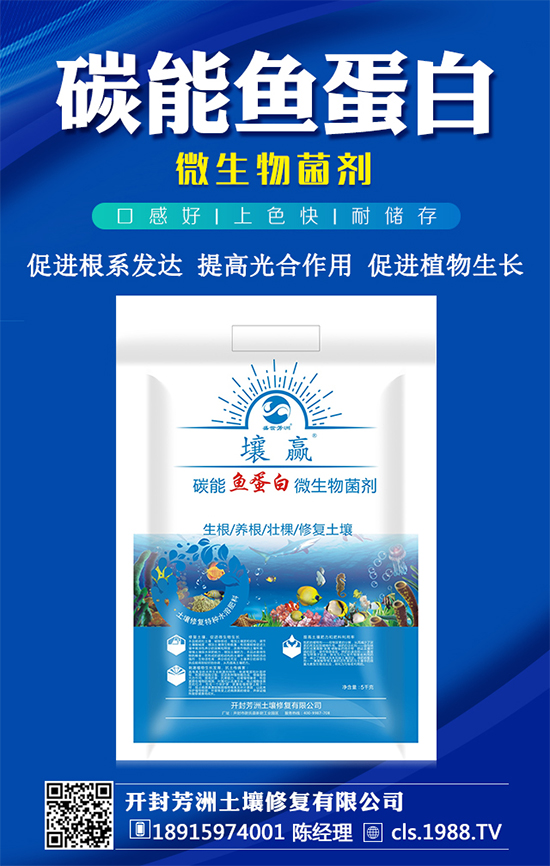 豆角種植時間,豆角生長過程的管理要點!