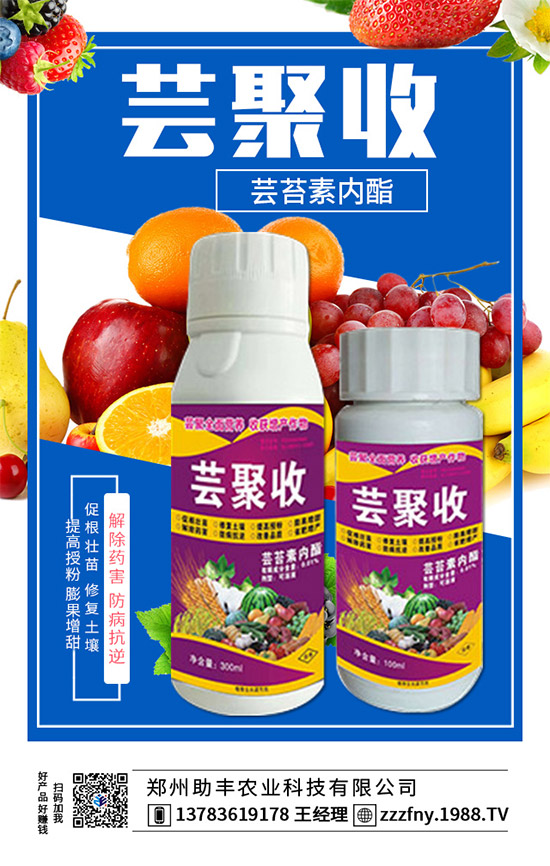 火爆農(nóng)化網(wǎng)再簽鄭州助豐農(nóng)業(yè),促進(jìn)戰(zhàn)略合作再升級(jí)!