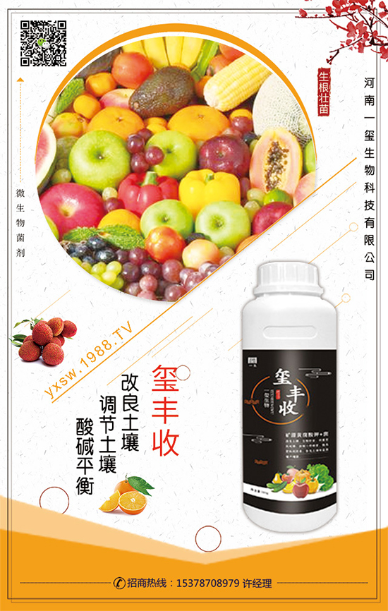 葫蘆的生長習(xí)性,葫蘆種植技術(shù)要點(diǎn)!